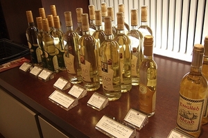 2009_0403mead0001