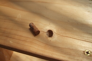2009_0419mitukai0005