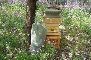2009_0419mitukai0013