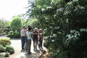 2009_0419mitukai0028