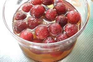 2009_0623sumu0005
