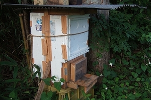 2009_0628iwate0071