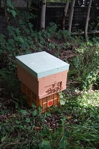 2009_0704subako0006