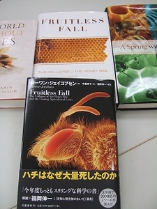 2009_0726mitukai0017