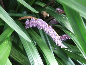 2009_0906honeywalk0049