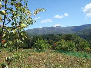 2009_1012katashina0041