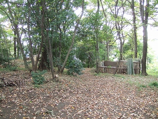 2009_1116kokubunji0006