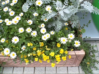 201004211512000.jpg