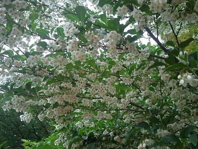 2011-05-22 13.36.13.jpg