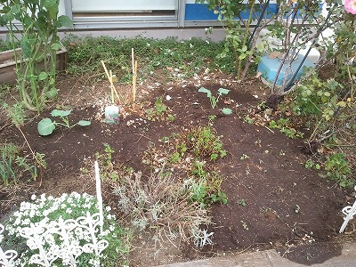 2011-11-18 12.33.57.jpg
