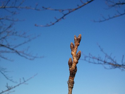 2011-12-31 15.00.13.jpg
