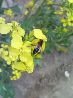 20110407113124.jpg