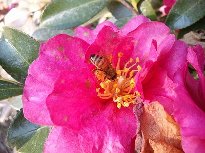 2012-01-01 14.12.57.jpg