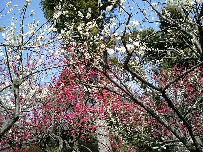 2012-03-20 13.35.49.jpg