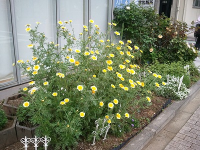 2012-05-09 12.33.12.jpg