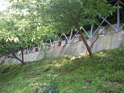2012-05-12 09.58.11.jpg