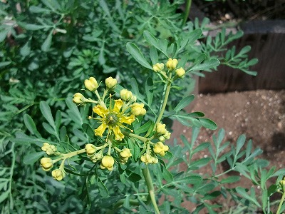 2012-05-14 11.41.41.jpg