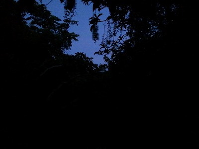 2012-07-12 05.44.11.jpg