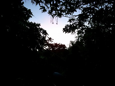 2012-07-12 05.51.39.jpg