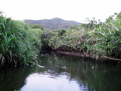 2012-07-12 05.57.24.jpg