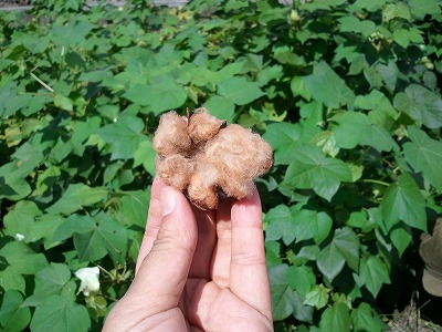 2012-09-29 12.28.07.jpg