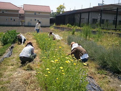 2013-05-06 11.43.19.jpg