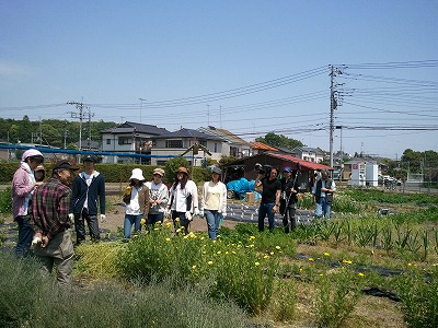 2013-05-06 12.25.45.jpg