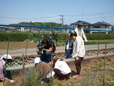 2013-05-06 12.39.42.jpg