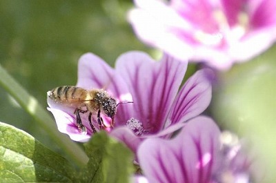 8135250_2276994_229large.jpg