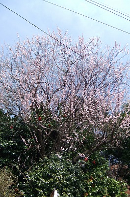 DSCF0054.jpg