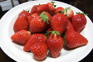DSCF0154.jpg