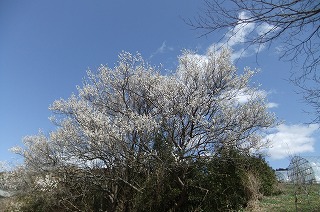 DSCF0210.jpg