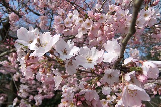 DSCF0326.jpg