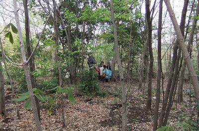 DSCF0555.jpg