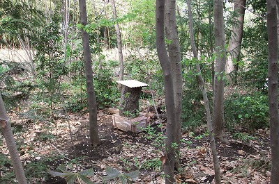 DSCF0557.jpg