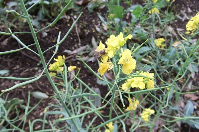 DSCF0561.jpg