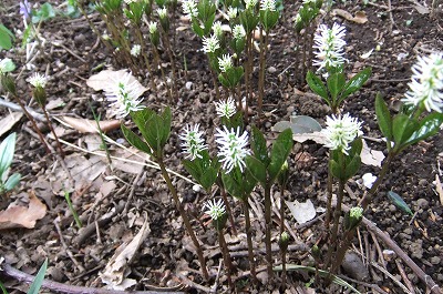 DSCF0570.jpg