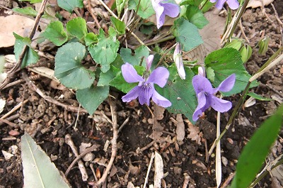 DSCF0571.jpg