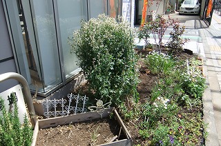 DSCF0593.jpg