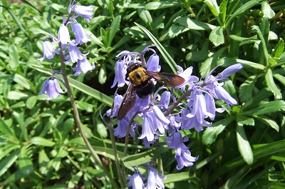 DSCF0799.jpg