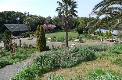 DSCF0802.jpg
