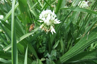 DSCF1135.jpg