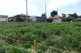DSCF1137.jpg