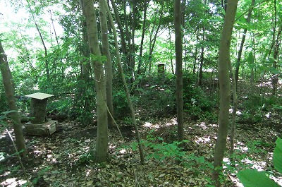 DSCF1569.jpg