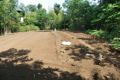 DSCF1675.jpg