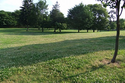 DSCF1695.jpg