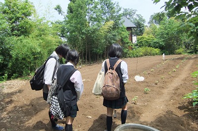 DSCF1722.jpg