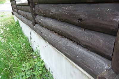 DSCF1767.jpg