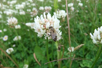 DSCF1770.jpg