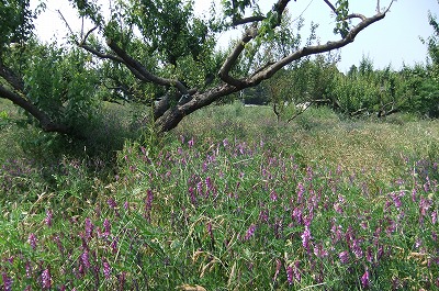 DSCF1878.jpg